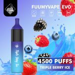 Fuumy Vape Evo 4500 Puffs Disposable Vape in UAE - Triple Berry Ice