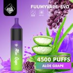 Fuumy Vape Evo 4500 Puffs Disposable Vape in UAE - Aloe Grape