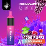Fuumy Vape Evo 4500 Puffs Disposable Vape in UAE - Black Mamba