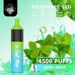 Fuumy Vape Evo 4500 Puffs Disposable Vape in UAE - Cool MInt