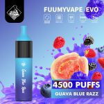 Fuumy Vape Evo 4500 Puffs Disposable Vape in UAE - Guava Blue Razz