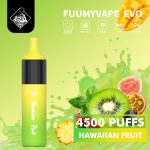 Fuumy Vape Evo 4500 Puffs Disposable Vape in UAE - Hawaiian Fruit