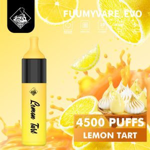 Fuumy Vape Evo 4500 Puffs Disposable Vape in UAE - Lemon Tart