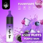 Fuumy Vape Evo 4500 Puffs Disposable Vape in UAE - Purple Rain