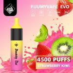 Fuumy Vape Evo 4500 Puffs Disposable Vape in UAE - Strawberry Kiwi