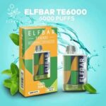 Elf Bar TE6000 Best Disposable - Cool Mint