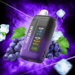 OXBAR 35000 Puffs ICE+NIC BLACK GRAPE ICE