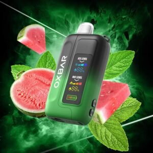 OXBAR 35000 Puffs ICE+NIC WATERMELON MINT