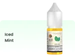 Tokyo Classic Salt Nic 10ml 20mg E liquid Iced Mint