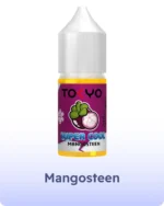 Tokyo E Liquid 30ml Premium Salt Nic Vape Juice in Dubai Mangosteen