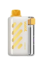 Vozol VISTA 40000 Puffs Disposable Vape Mango Ice