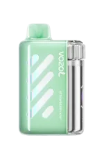 Vozol VISTA 40000 Puffs Disposable Vape Strawberry Kiwi