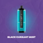 Al Fakher Hypermax 15000 Puffs Crown Bar Disposable Vape Black Currant Mint