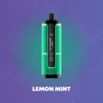 Al Fakher Hypermax 15000 Puffs Crown Bar Disposable Vape Lemon Mint