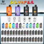Silvaper Rocket 24000 Puffs flavor