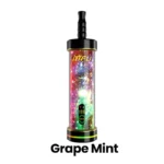 MFU Shisha X2 Hookah 60000 Puff Grape Mint