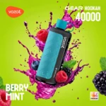 Vozol Gear Hookah 40000 Puffs Berry Mint