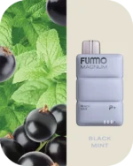 Fummo Magnum 8000 Puffs black_mint