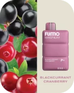 Fummo Magnum 8000 Puffs blackcurrant_cranberry