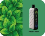 Fummo Nova 50000 Puffs Fresh Mint
