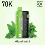 Voom Meteor 70000 puffs Miami Mint