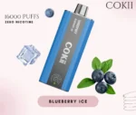 Cokii Time 16000 Puffs Blueberry Ice