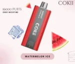 Cokii Time 16000 Puffs Watermelon Ice