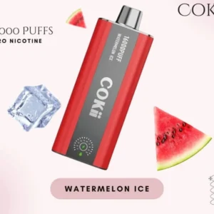 Cokii Time 16000 Puffs Watermelon Ice