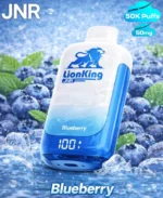 JNR Lionking 50000 Puffs Blueberry